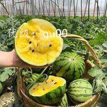 ֪ʶ